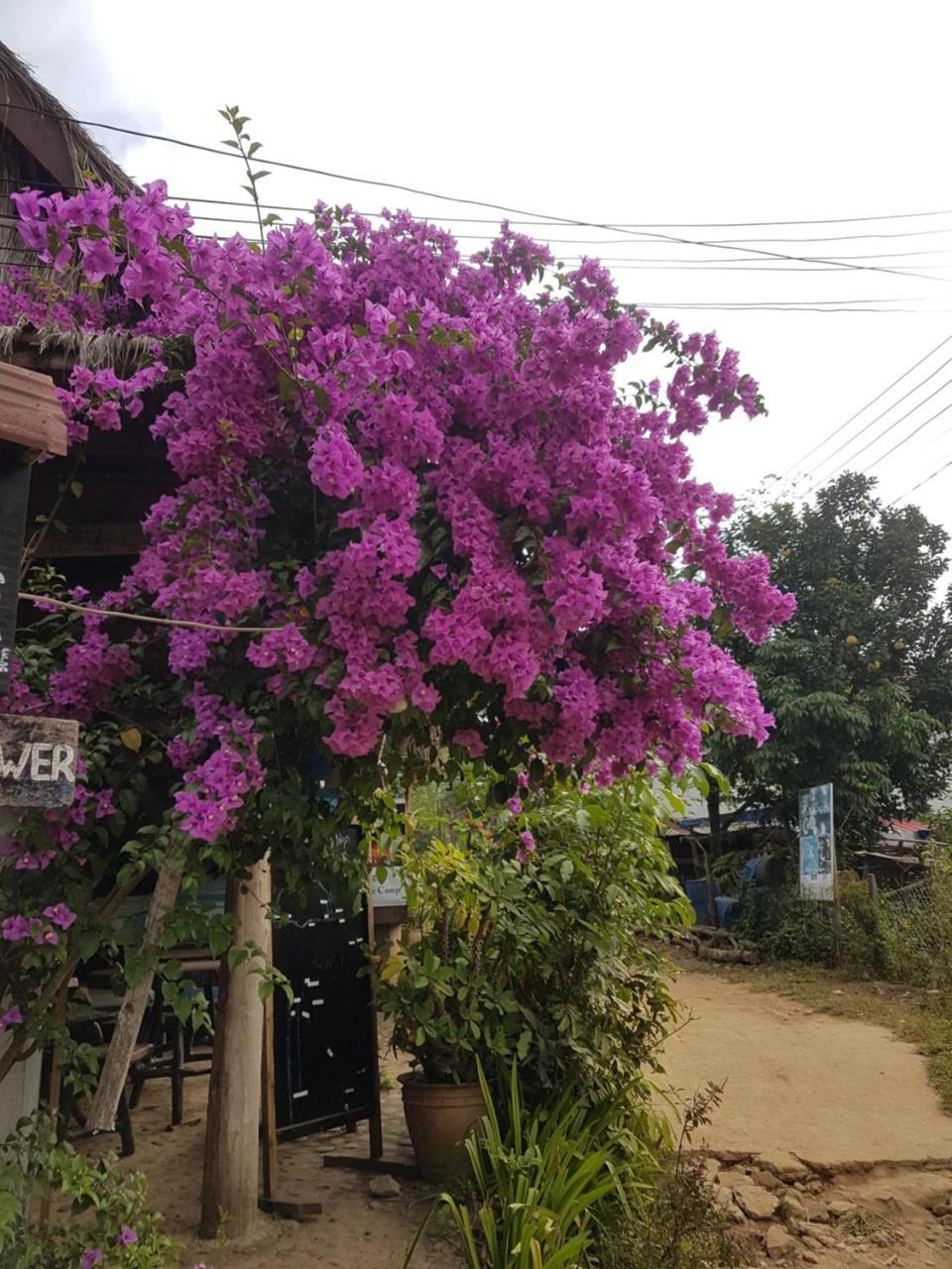 Lattanavongsa Guesthouse And Bungalows Ban Ngoy-Nua Exterior foto
